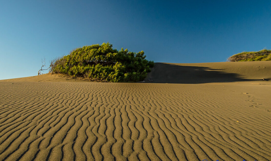 Las Dunas de las Calderas en Baní