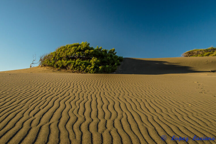 Las Dunas de las Calderas en Baní